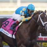 American Pharoah Racing Silks