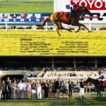 Empyrean Stables Silks