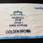 Stakes Race Scrim Fly Sheet