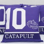 Saddle Towel Throw Pillow