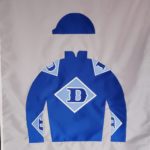 FS3-Custom Jockey Silks Flag