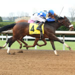 Blue Checker Race