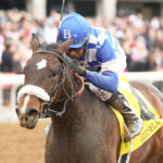 Blue Checker Thoroughbreds Racing Silks
