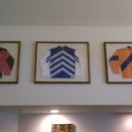 FS1-Framed Racing Silks at Disney World