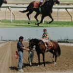Drumnakilly Lord Winners Circle