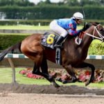 DJJ Racing Silks
