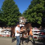 Kisber Racing Stable Silks