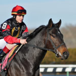 Daly's satin silks