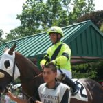 Daly's nylon silks