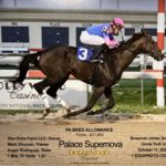 Aerodynamic Jockey Silks