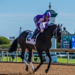 Aerodynamic Jockey Silks