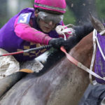 Homeboykris ridden by Janice Klein's