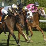 Kisber Racing Stables Silks