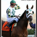 Reeves Racing Stables Silks