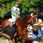 Reeves Racing Stables Silks