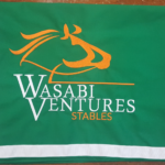 HB18-Saddle Towel with Custom Logo