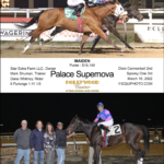 Star Extra Farm's Palace Supernove in Daly's Aero Silks