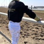 Daly's Nylon Jockey Silks
