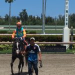 Sweet Sunshine Stables Silks
