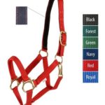 RA2-Nylon Halter