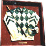 FS1-Framed Racing Silks