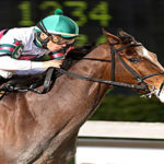 Star Guitar Racing Silks