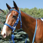 RA1-Nylon Bridle Set