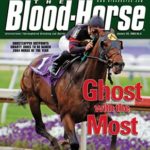 Ghostzapper Silks