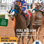 Full Nelson Silks