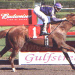 Peachtree Stable Silks