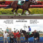 DJJ Racing Stables Silks