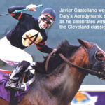 Adena Springs Silks
