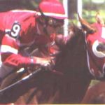 Silks & Matching Blinkers
